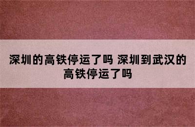 深圳的高铁停运了吗 深圳到武汉的高铁停运了吗